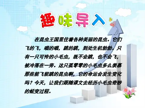 二年级下册语文课件-22小毛虫(人教部编版) (共31张PPT)