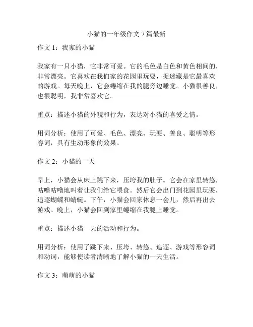 小猫的一年级作文7篇最新
