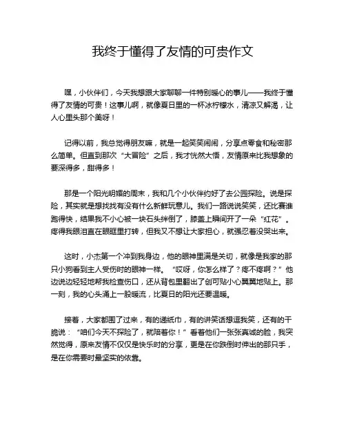 我终于懂得了友情的可贵作文