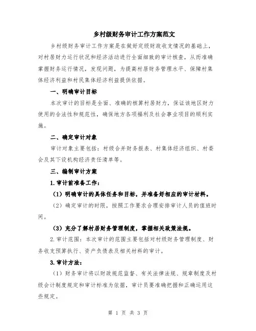 乡村级财务审计工作方案范文