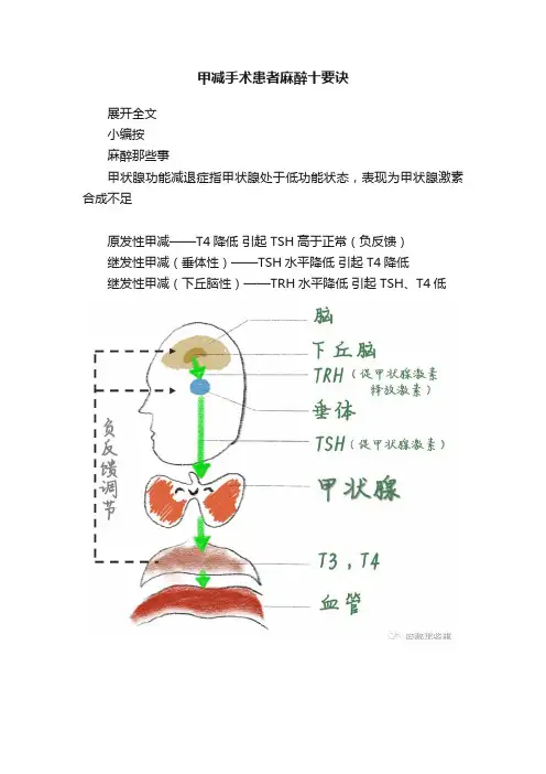 甲减手术患者麻醉十要诀