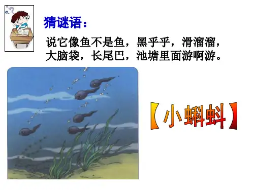 《小蝌蚪找妈妈》(部编版)省公开课获奖课件说课比赛一等奖课件