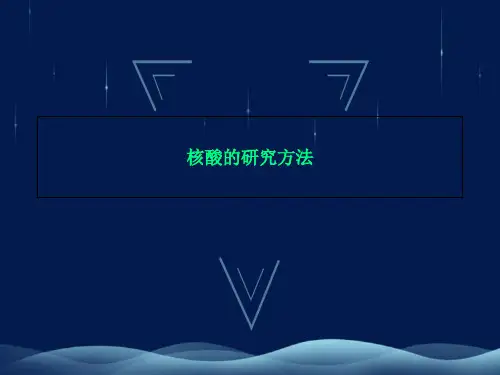 核酸的研究方法