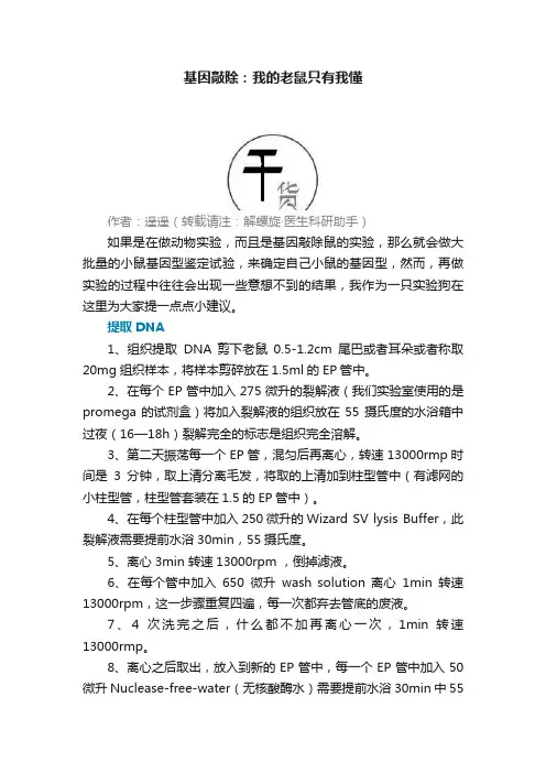 基因敲除：我的老鼠只有我懂