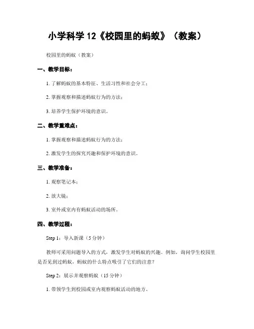 小学科学12《校园里的蚂蚁》(教案)