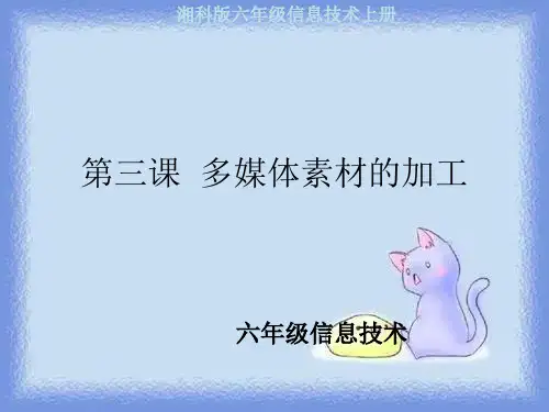 多媒体素材的加工(湘科版)