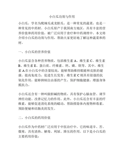 小白瓜功效与作用