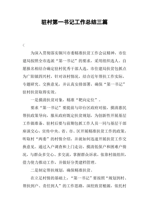驻村第一书记工作总结三篇