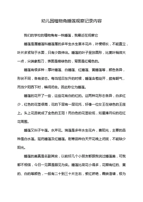 幼儿园植物角睡莲观察记录内容