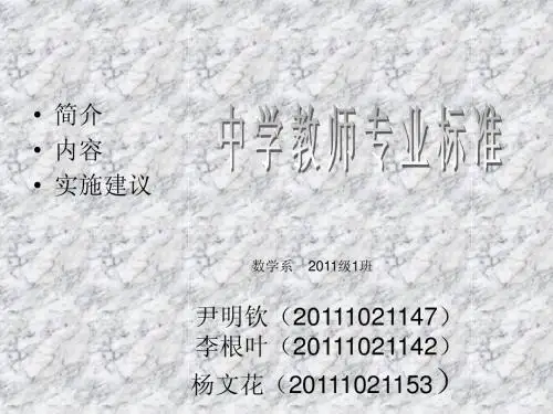 中学教师专业标准