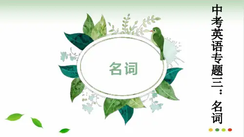 2020年中考英语专题复习之名词 PPT课件