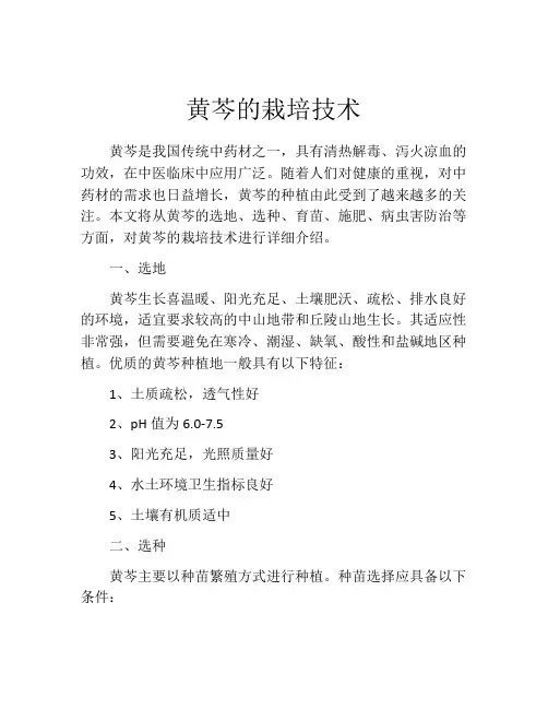 黄芩的栽培技术