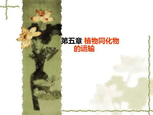 【植物生理学】第6章  同化物运输