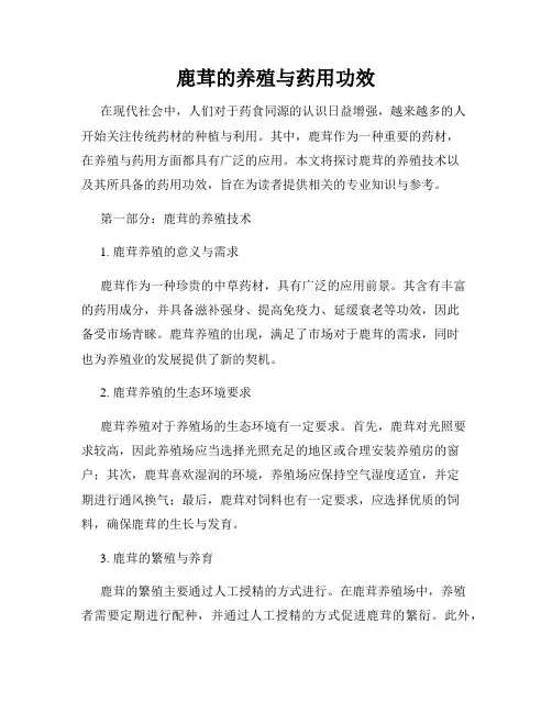 鹿茸的养殖与药用功效