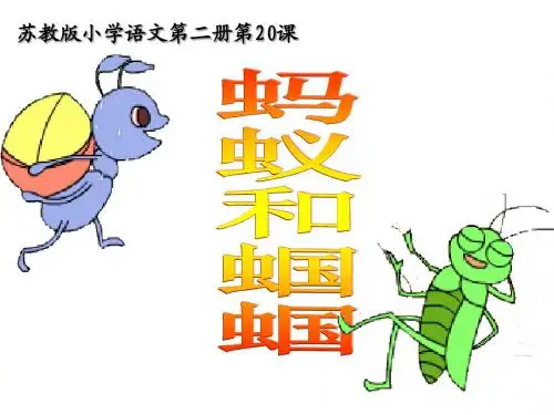 蚂蚁和蝈蝈