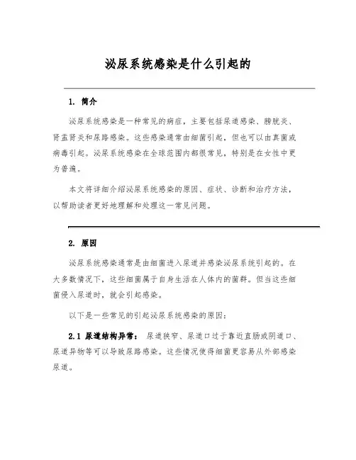 泌尿系统感染是什么引起的