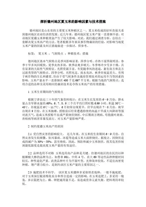 探析德州地区夏玉米的影响因素与技术措施