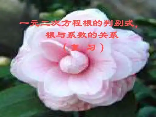 一元二次方程根与系数的关系