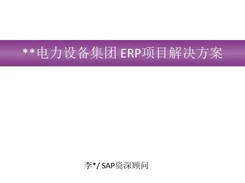 SAP针对某电力设备集团ERP项目解决方案解决方案