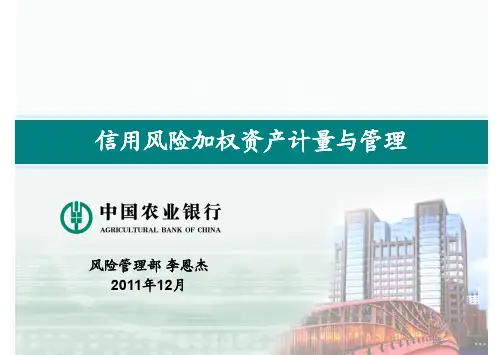 RWA计量与管理(农行)