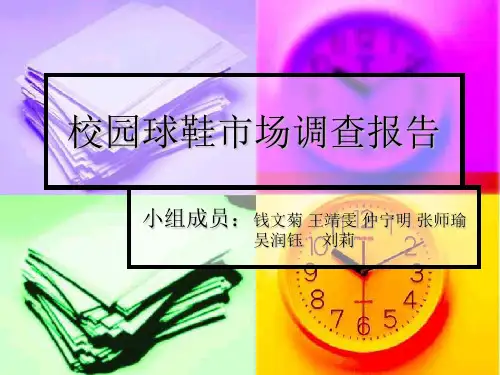 校园球鞋市场调查报告