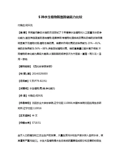 5种水生植物脱氮除磷能力比较