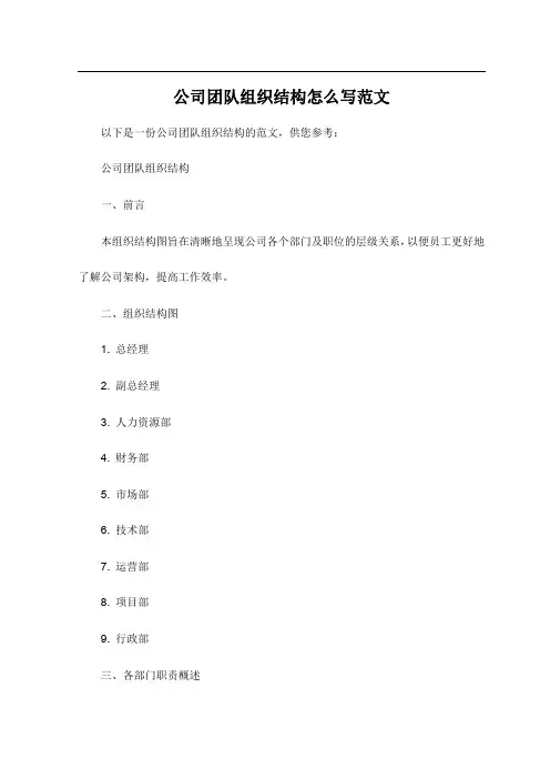公司团队组织结构怎么写范文