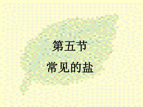 常见的盐