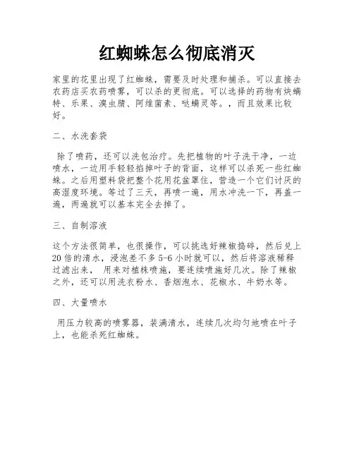 红蜘蛛怎么彻底消灭