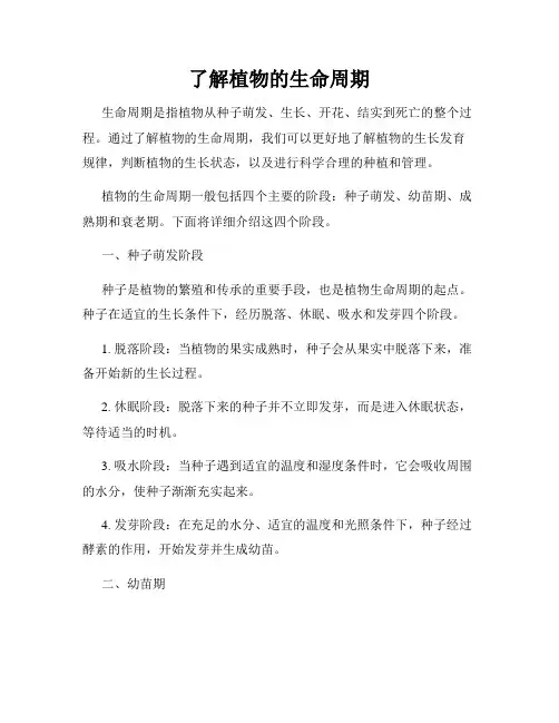 了解植物的生命周期