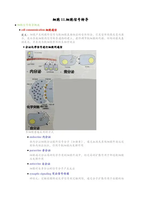细胞11.细胞信号转导
