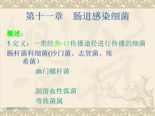 肠道感染细菌ppt-医学微生物学PPT课件