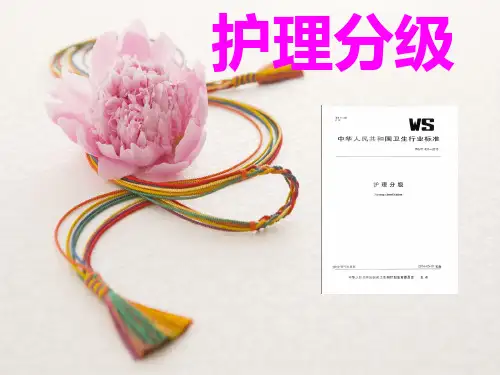 护理分级解读2PPT