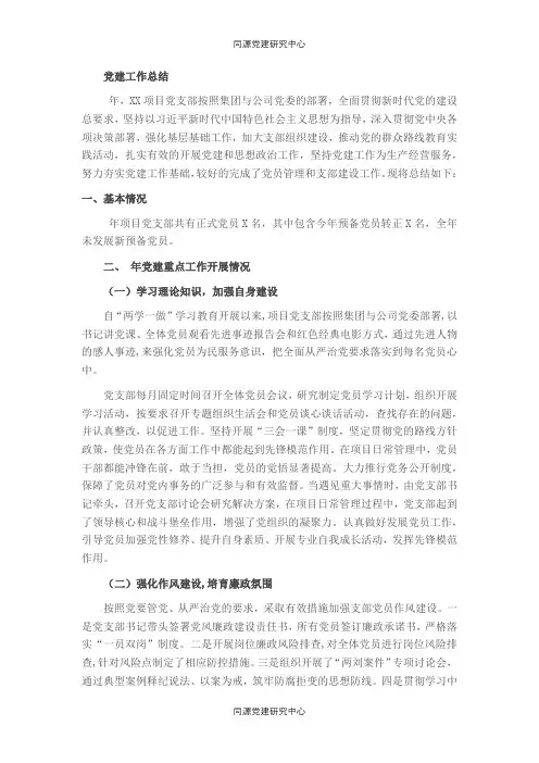 境外项目党支部工作总结和工作计划