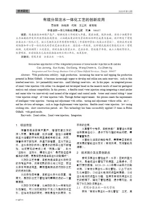 有缆分层注水一体化工艺的创新应用