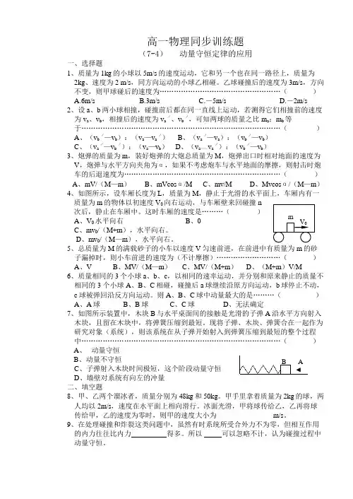 最新-动量4 精品