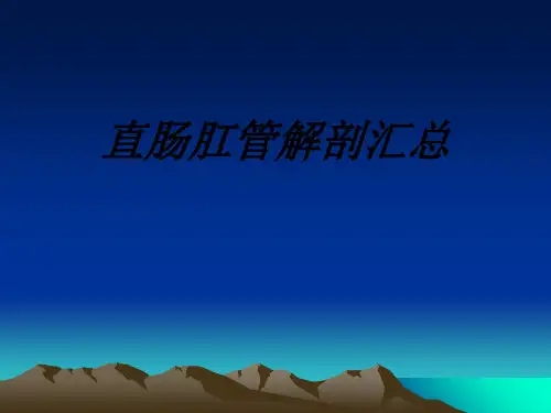 直肠肛管解剖汇总讲义