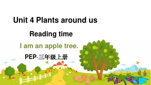 人教英语三上Unit 4 Plants around us Reading time(课件)