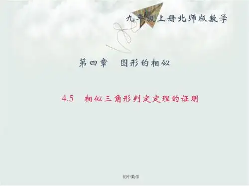 北师大版九级数学上册课件：4.5 相似三角形判定定理的证明 (共25张PPT)