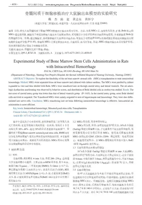 骨髓间质干细胞移植治疗大鼠脑出血模型的实验