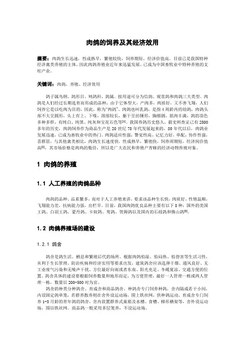 肉鸽的饲养及其经济效用