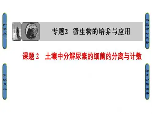 高中生物人教版选修一(课件) 专题2 微生物的培养与应用 专题2 课题2