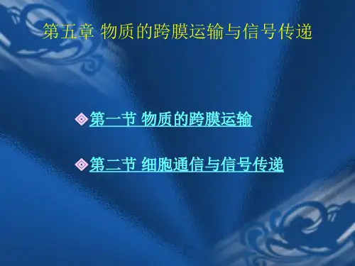 细胞生物学 第五章 物质的跨膜运输与信号传递