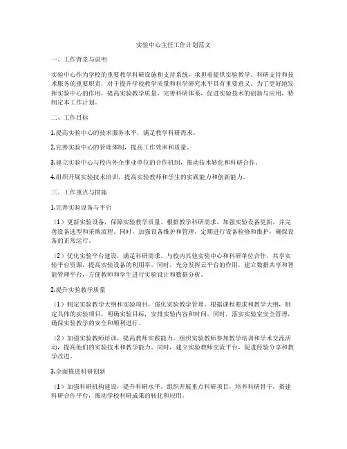 实验中心主任工作计划范文