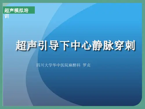 超声引导下中心静脉穿刺罗贞 ppt课件