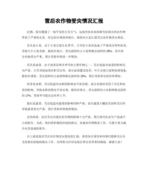 雪后农作物受灾情况汇报