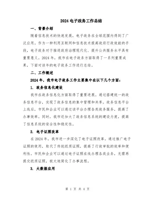 2024电子政务工作总结
