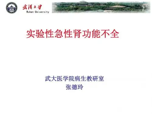 实验性肾功能不全zdl-new