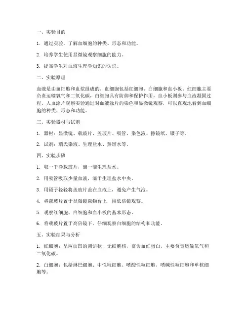 人血涂片实验报告