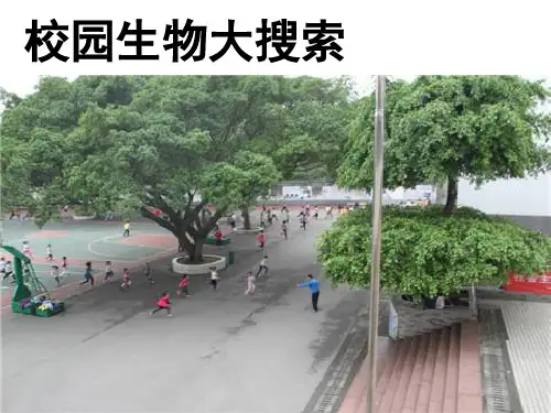 教科版六年级上册科学第四单元《生物的多样性》全单元(课堂PPT)